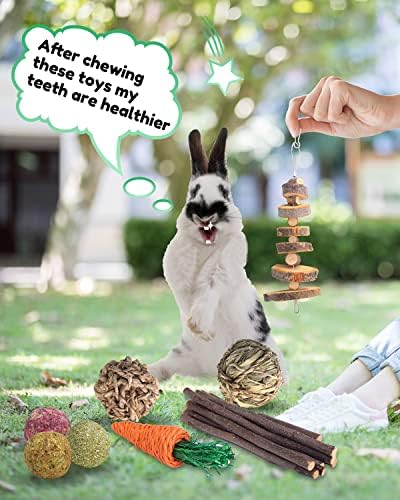 Pweıtuoet Tavşan Çiğnemek Oyuncaklar, Küçük Hayvan Çiğnemek Tedavi - Doğal Malzemeler için El Yapımı Bunny/Chinchilla