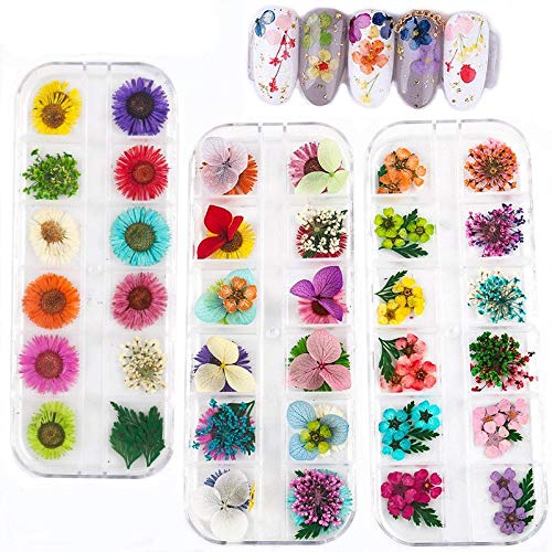 Gokeop 3D Nail Art Etiketler, 12 Renkler Doğal Gerçek Kuru Çiçek, Doğal Gerçek Kuru Çiçekler için Çivi, Çiçek Süslemeleri,