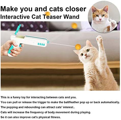 Kapalı Kediler için Kedi Oyuncakları, Kedi Değnek Oyuncakları ve Catnip Oyuncakları Süper Değer Seti