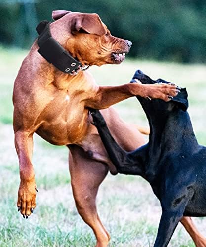 Köpek tasması Büyük Köpekler için - 2 Siyah Yaka Saplı Ekstra Büyük Cins Köpekler için, Ağır Hizmet Tipi K9 Naylon Pet Taktik