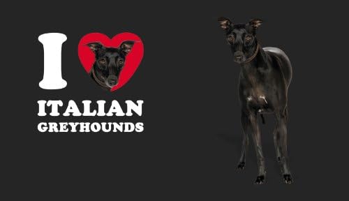 Ağaçsız Selamlar I Heart İtalyan Greyhounds Artful Traveler Yeniden Kullanılabilir Samanlı Çift Duvarlı Serin Bardak, 16 Ons