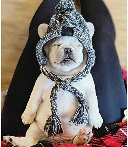 FDGTFH Kış Köpek Sıcak Şapka, Pet Köpek Sevimli Moda Yün Şapka Pom-pom Topu ile Orta Küçük Köpekler için Pet Şapkalar Headdress