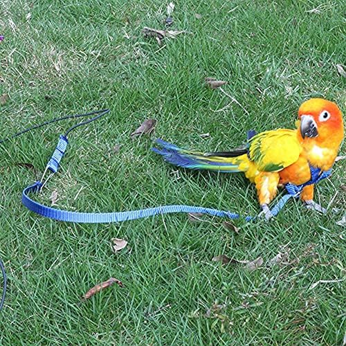 TUWAN Sevimli Yumuşak Kuş Malzemeleri Taşınabilir Açık Eğitim Oyuncak Anti-Bite Papağan Koşum Pet Eğitim Halatı Kuş Tasma Çekiş