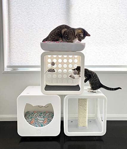 Kitty Kasas Yeni! Standart Kolay Montaj Serisi Kedi Evi Küpleri