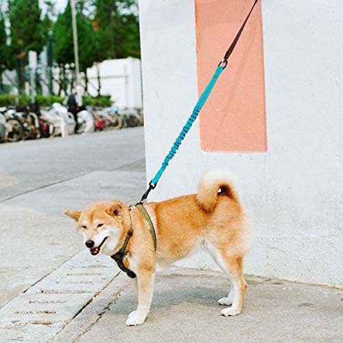 NOYAL 2 Paket 1.7 FT Bungee Köpek Tasma Ağır Şok Emici Uzatma Tasma Geliştirilmiş Köpek Güvenliği Yürüyüş için uygun, koşu,