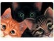 Peeping Toms Kediler Yavru Kedi Placemat besleme matı