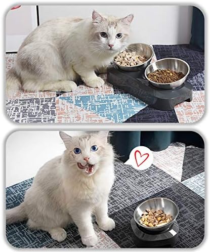 AYADA Yükseltilmiş Kedi Maması Kasesi, Gıda Suyu için Paslanmaz Çelik Kedi Tabağı Anti Kusma Standlı Yükseltilmiş Ergonomik