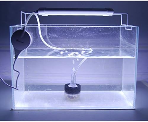 Gazechimp hava pompası sünger filtre su temizleyici filtre akvaryum tankı gölet için