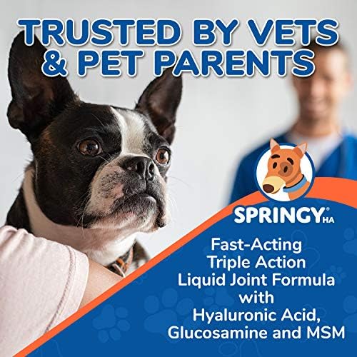 BİOGENİCA Springy HA / MSM Glucosamine Hyaluronik Asitli Köpek Kalça ve Eklem Takviyesi / Hızlı Etkili Eklem Sağlığı ve Büyük