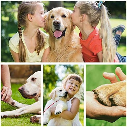 Köpek Tırnak Makası, Ücretsiz Tırnak Törpüsü ile Aşırı Kesmeyi Önlemek için Güvenlik Görevlisi ile Profesyonel Evcil Hayvan