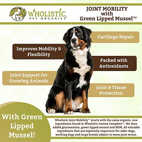 Wholistic Pet Organics Eklem Takviyesi: Yeşil Dudaklı Midye ile Eklem Hareketliliği Köpekler için Günlük Eklem Sağlığı Takviyeleri-Msm'li