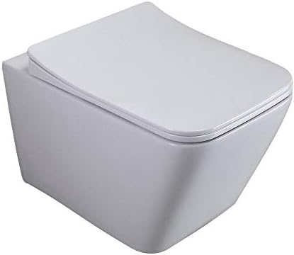 Homary Duvara Asılı Tuvalet Banyo Uzatılmış Klozet Duvara Monte Tuvalet Duvar İçi Tank ve Taşıyıcı Sistemli Beyaz 1.1 / 1.6