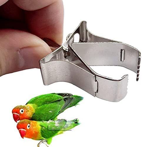 WeDaı Parakeet Budgie Kafes Aksesuarları Pet Paslanmaz Çelik Sebze Papağan Besleyici Besleme Kelepçe Kuş Gıda Sahipleri Klip