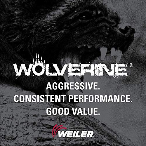 Weiler 59541 Wolverine Alüminyum Oksit Reçine Elyaf Zımpara ve Taşlama Diski, 9 Çap, 24 Kum, 7/8 Çardak Deliği (25'li Paket)
