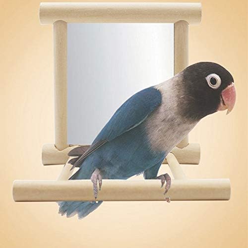 Shuohu Ayna için Papağan Komik Ahşap Kuş Oyuncak Standı Platformu Oyuncaklar için Papağanlar Papağanının Vogel
