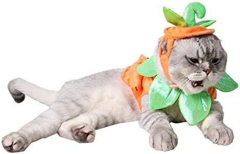 Mummumi Pet Cadılar Bayramı Şapka, küçük Pet Noel Cadılar Bayramı Tatil Aksesuarları Kostümleri Şapka Yavru Kediler için Küçük