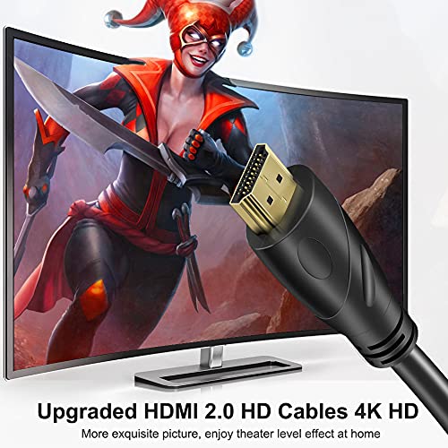 4K HDMI Kablosu - Rommisie 100FT (HDMI 2.0,18 Gbps) Ultra Yüksek Hızlı Altın Kaplama Konektörler, Ethernet Ses Dönüşü, Video