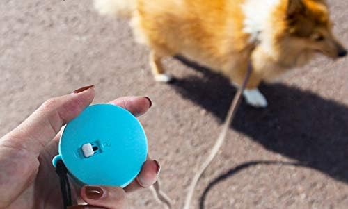 PetPhındU Pet Mini Geri Çekilebilir Köpek Tasma Naylon Halat 6.6 Ft El Hafif Köpek Tasma Küçük Köpekler için Teddy Bichon Pomeranian